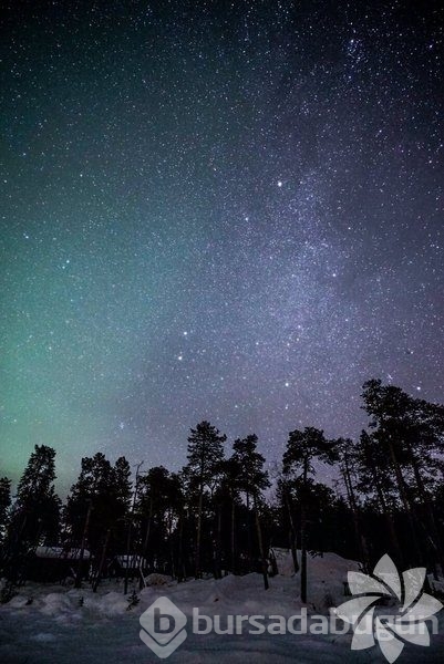 Lapland'ın büyüleyici kışı