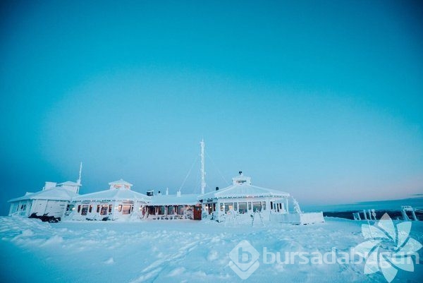 Lapland'ın büyüleyici kışı