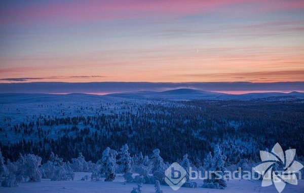 Lapland'ın büyüleyici kışı