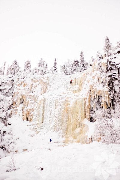 Lapland'ın büyüleyici kışı