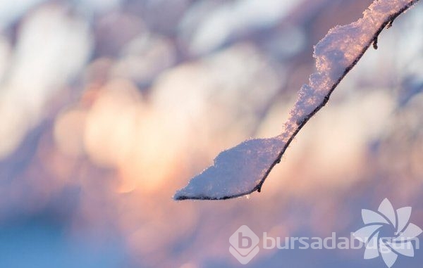 Lapland'ın büyüleyici kışı