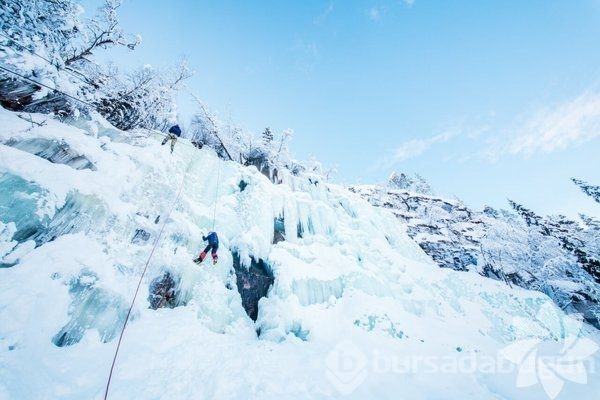 Lapland'ın büyüleyici kışı