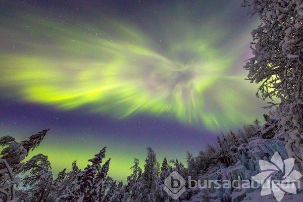 Lapland'ın büyüleyici kışı