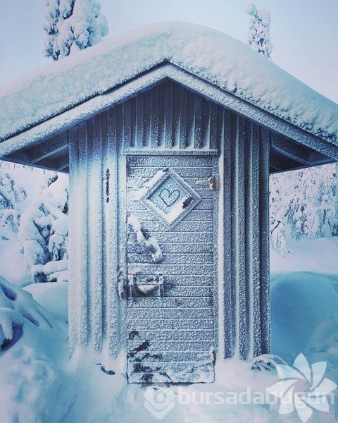 Lapland'ın büyüleyici kışı