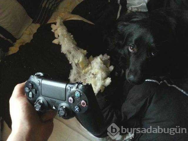 Günün en çok paylaşılan fotoğrafları
