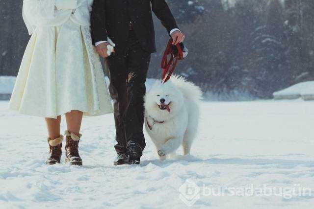 Günün en çok paylaşılan fotoğrafları
