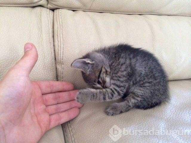 Günün en çok paylaşılan fotoğrafları
