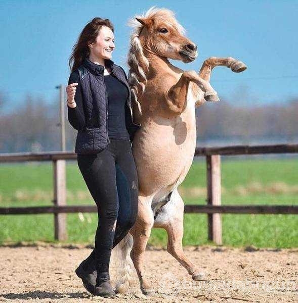Günün en çok paylaşılan fotoğrafları
