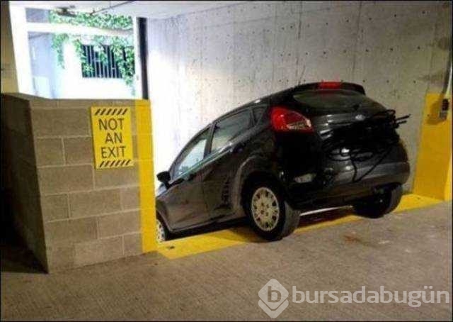 Günün en çok paylaşılan fotoğrafları
