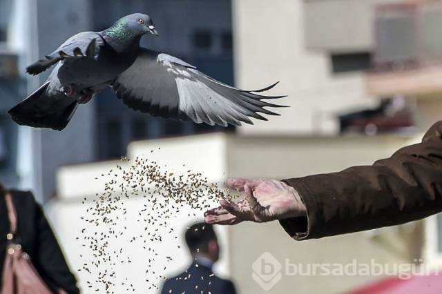 Günün en çok paylaşılan fotoğrafları
