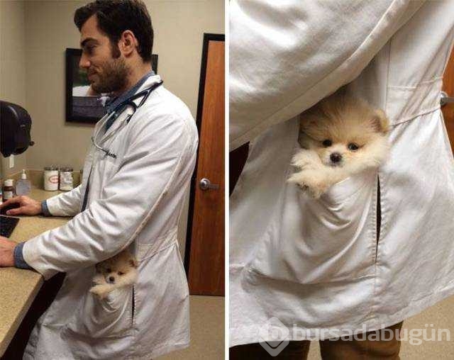 Günün en çok paylaşılan fotoğrafları
