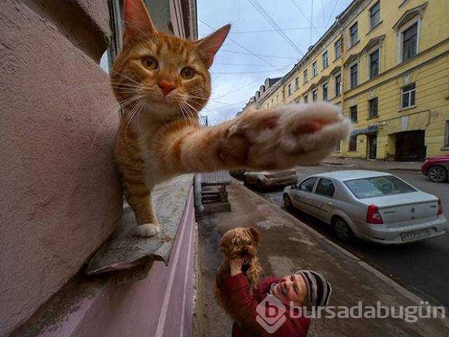 Günün en çok paylaşılan fotoğrafları
