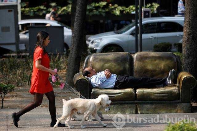 Günün en çok paylaşılan fotoğrafları
