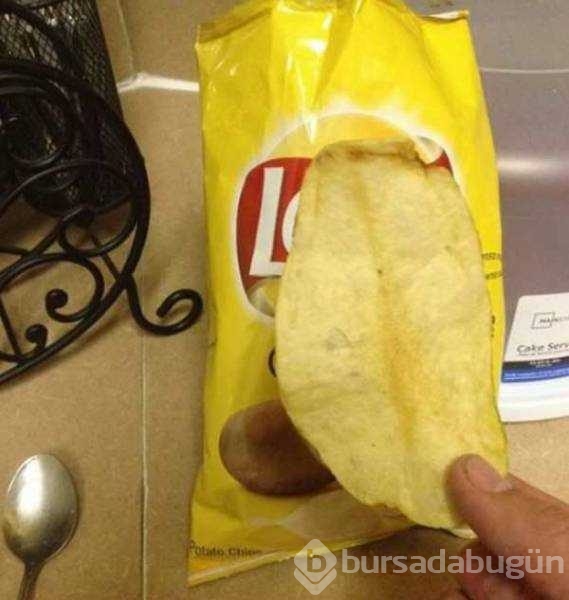 Günün en çok paylaşılan fotoğrafları
