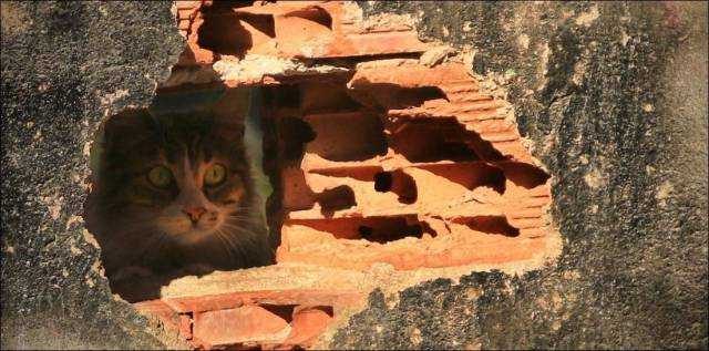 Günün en çok paylaşılan fotoğrafları

