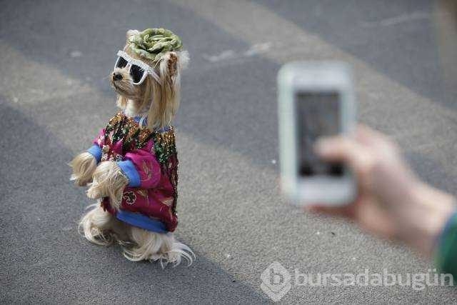 Günün en çok paylaşılan fotoğrafları

