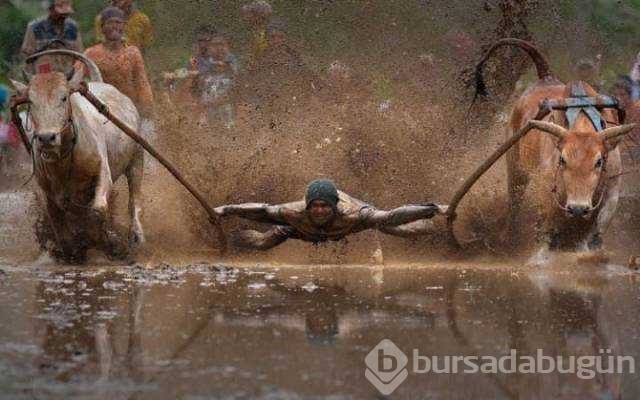 Günün en çok paylaşılan fotoğrafları
