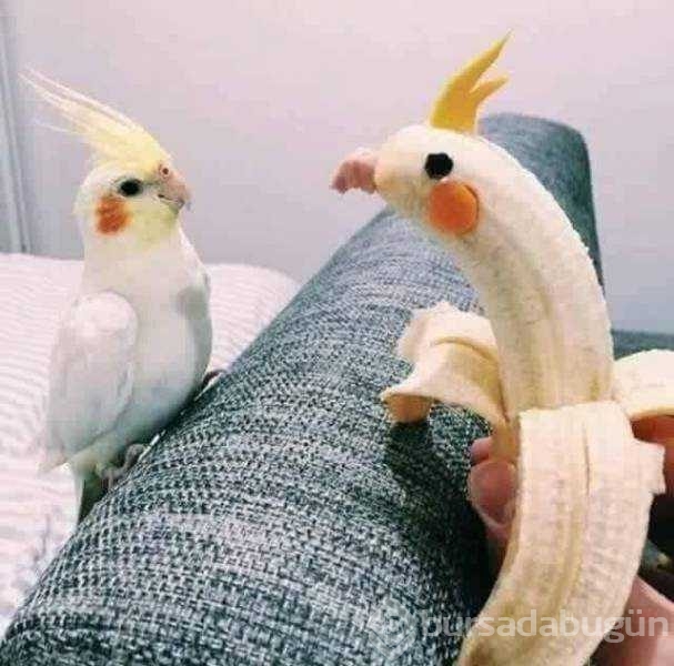 Günün en çok paylaşılan fotoğrafları
