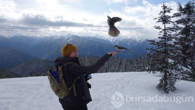 Günün en çok paylaşılan fotoğrafları
