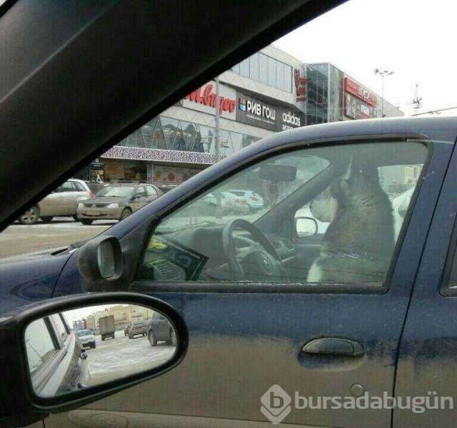 Günün en çok paylaşılan fotoğrafları
