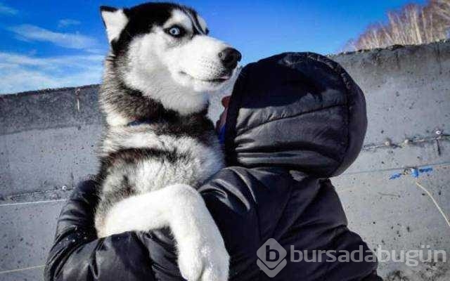 Günün en çok paylaşılan fotoğrafları
