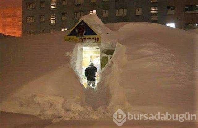 Günün en çok paylaşılan fotoğrafları

