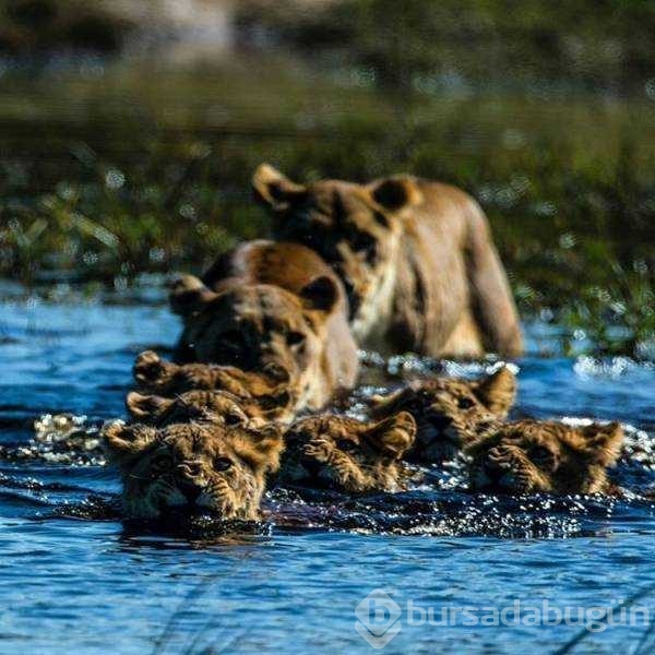 Günün en çok paylaşılan fotoğrafları

