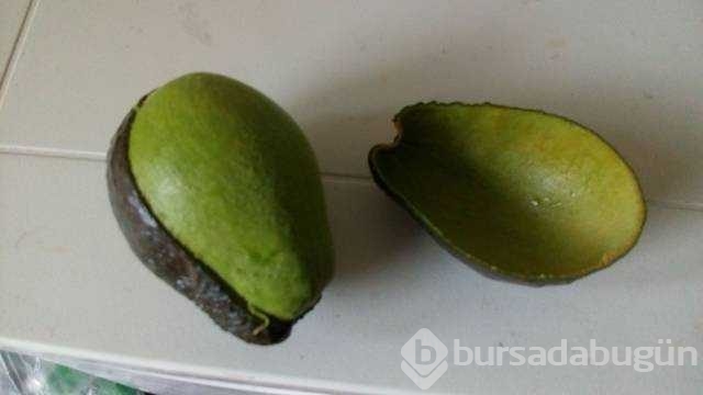 Günün en çok paylaşılan fotoğrafları
