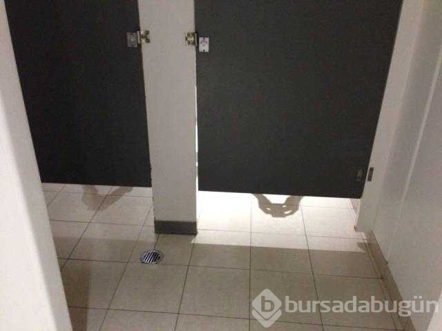 Günün en çok paylaşılan fotoğrafları
