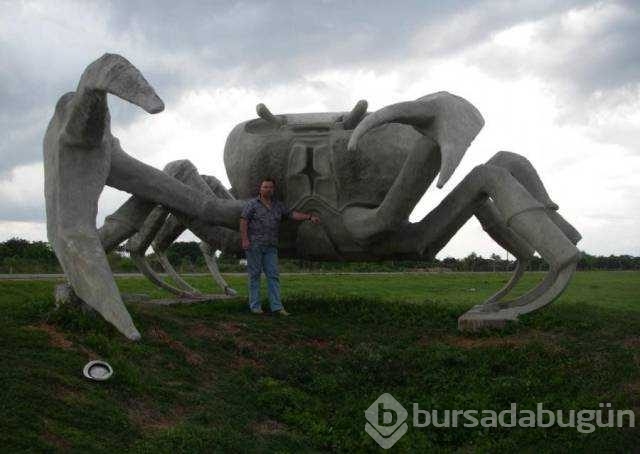 Günün en çok paylaşılan fotoğrafları
