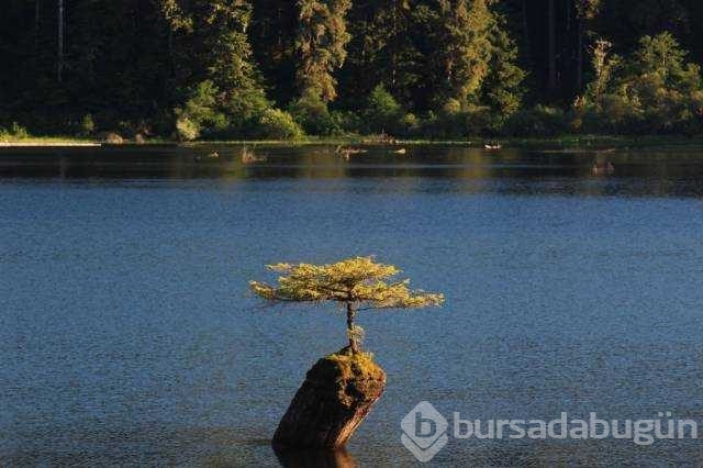 Günün en çok paylaşılan fotoğrafları
