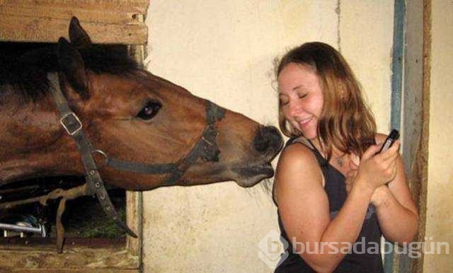 Günün en çok paylaşılan fotoğrafları
