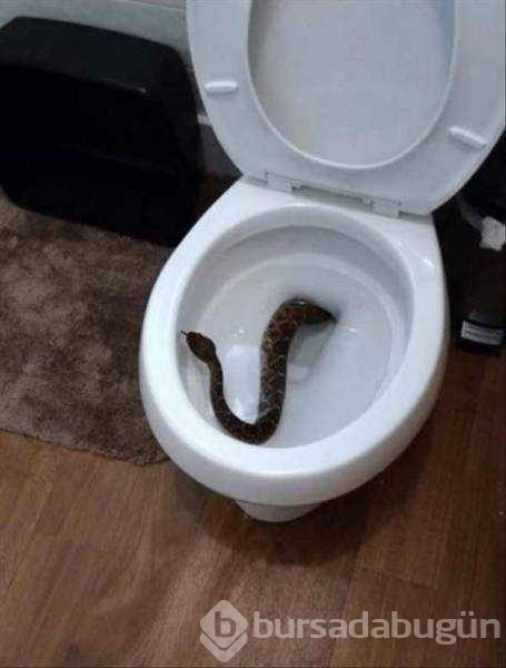 Günün en çok paylaşılan fotoğrafları
