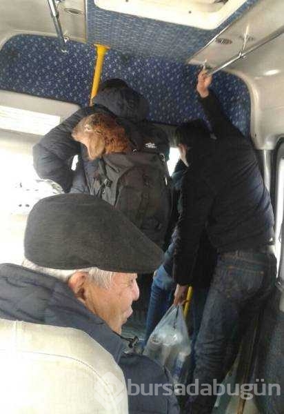 Günün en çok paylaşılan fotoğrafları

