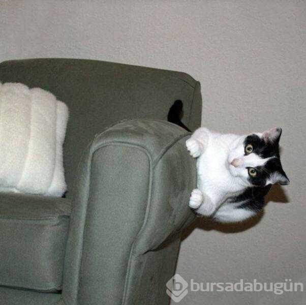 Günün en çok paylaşılan fotoğrafları
