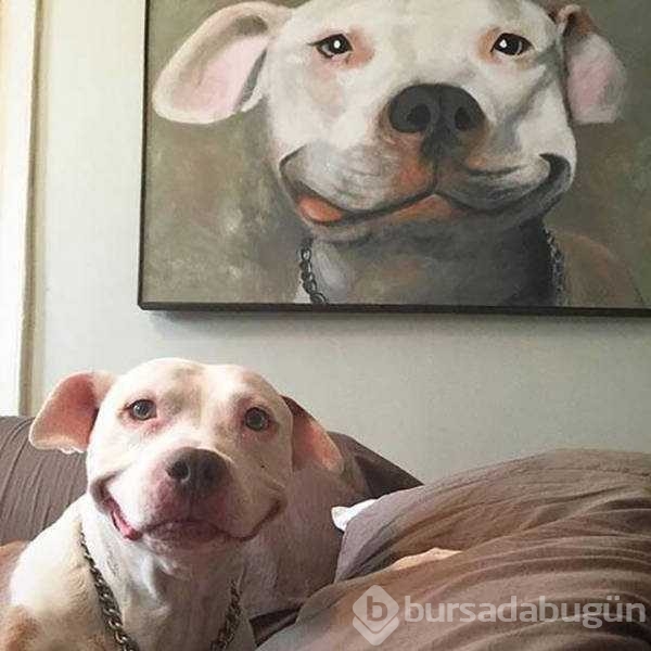 Günün en çok paylaşılan fotoğrafları
