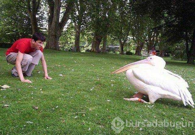 Günün en çok paylaşılan fotoğrafları
