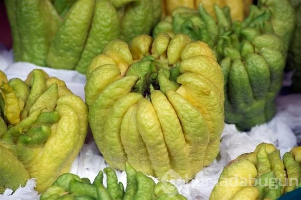 Görüntüsü çok korkunç ama fiyatı dudak uçuklatıyor! 
