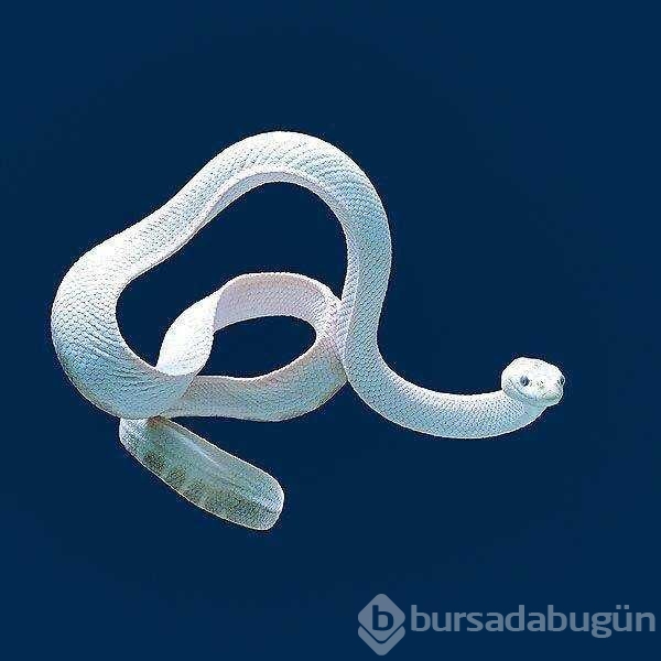 Günün en çok paylaşılan fotoğrafları! 
