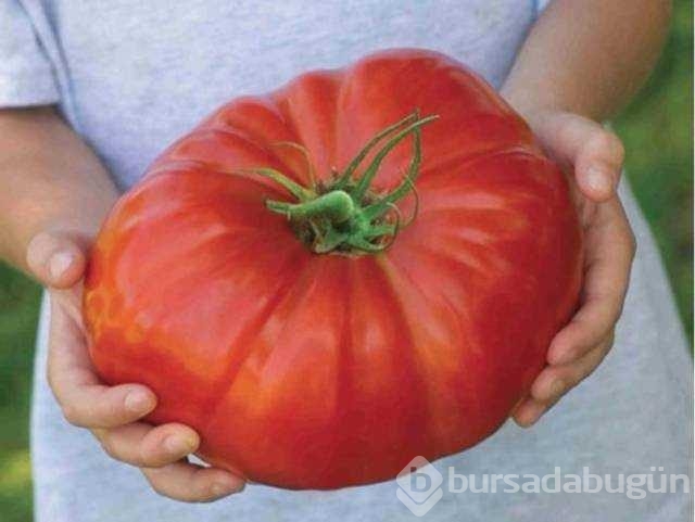 Günün en çok paylaşılan fotoğrafları! 
