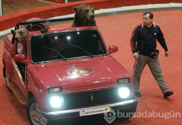 Günün en çok paylaşılan fotoğrafları! 
