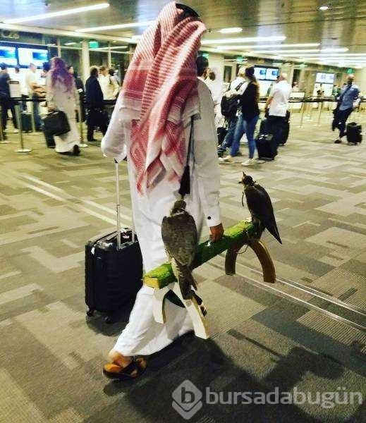 Günün en çok paylaşılan fotoğrafları! 
