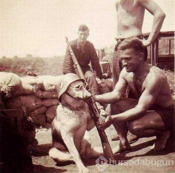 Günün en çok paylaşılan fotoğrafları! 
