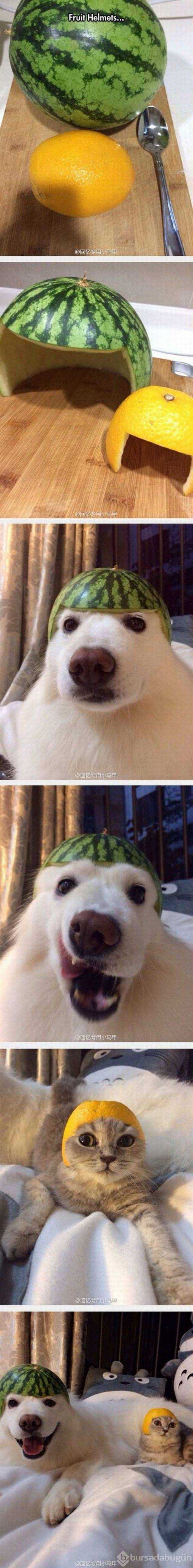 Günün en çok paylaşılan fotoğrafları! 
