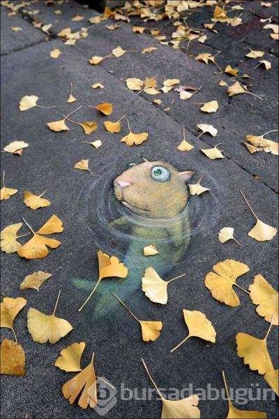 Günün en çok paylaşılan fotoğrafları! 
