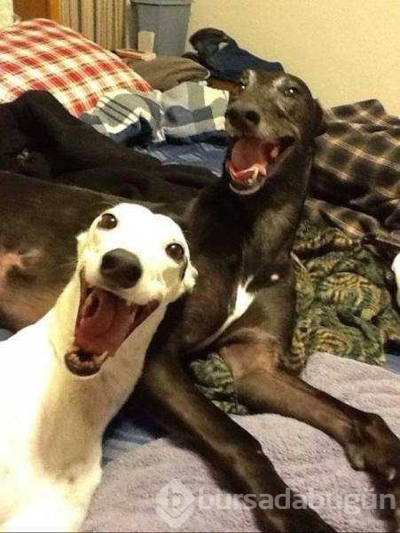 Günün en çok paylaşılan fotoğrafları! 
