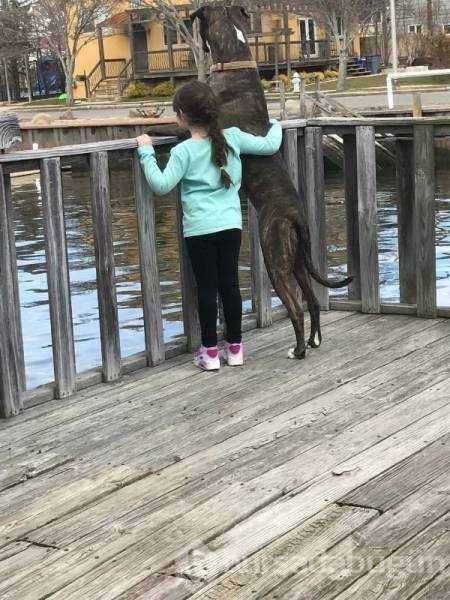 Günün en çok paylaşılan fotoğrafları! 
