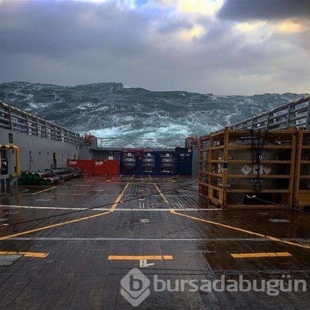 Bu kareleri görenler gözlerine inanamıyor! 