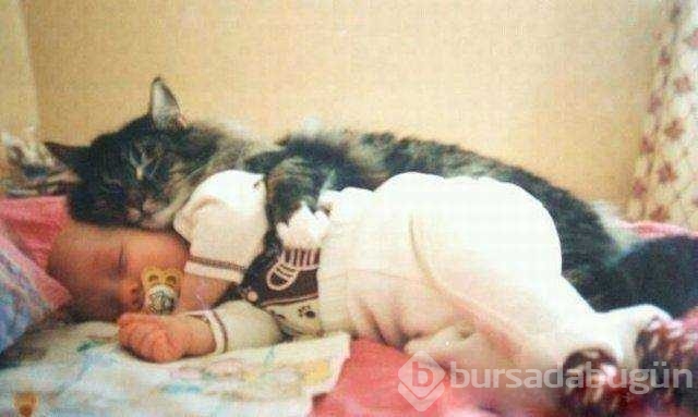 Günün en çok paylaşılan fotoğrafları