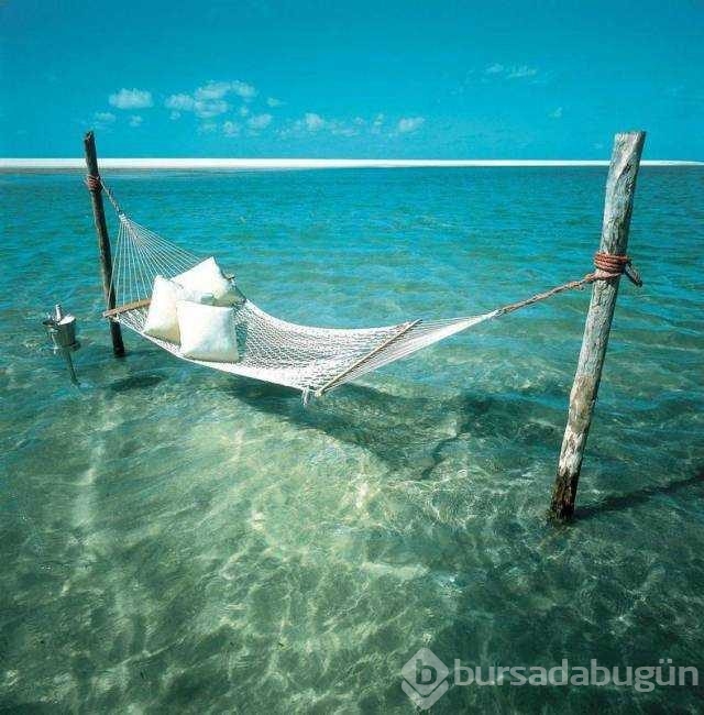 Günün en çok paylaşılan fotoğrafları